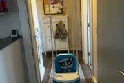 baby toddler swing