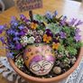 Garden Image 3