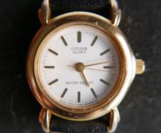 Ladies Watch Citizen Quartz with Leather Strap and Shield, Works