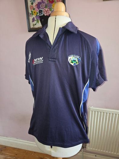 Laois GAA Polo Shirt - Medium size