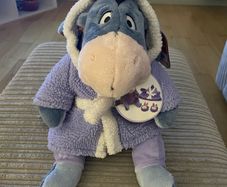 Disney Teddy