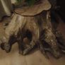 Tree trunk coffee table spectacular Image 10