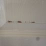Double doors Image 2