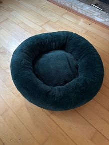 Small Dog Bed Velvet Green