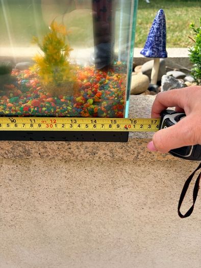 Fish Tank