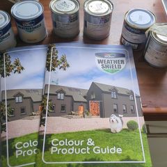 paint samples