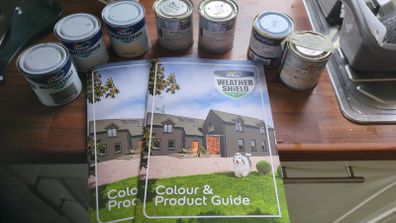 paint samples