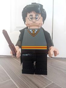 Lego 76393 Harry Potter and Hermione Granger