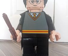 Lego 76393 Harry Potter and Hermione Granger