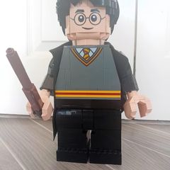 Lego 76393 Harry Potter and Hermione Granger