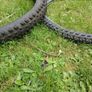 Mtb tyers Image 8