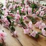 Beautiful 14 X 86cm Large Long Wired Cherry Blossom Artificial Flowers (Bendable) Image 7