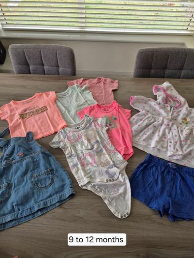 Baby Girl Clothes and Accessories Bundle  3 to 12 Months