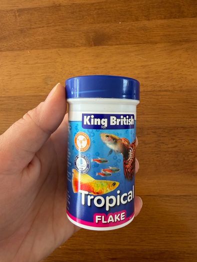fish tank starter pack