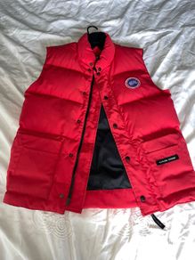 canada goose