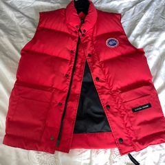 canada goose