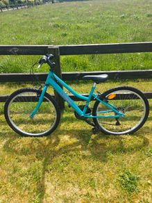 Bike 24"