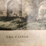 Lea castle Portarlington Image 2