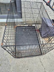 large dog crate
