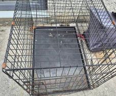 large dog crate