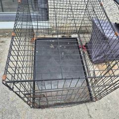 large dog crate