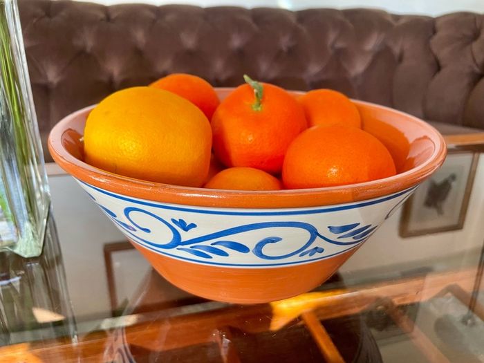 Hand Painted Large Terra Cotta Blue and White Bowl for Salad Pasta Fruits