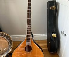 Trinity College Irish Bouzouki