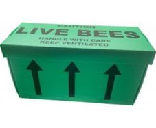 Nucs of native honeybees