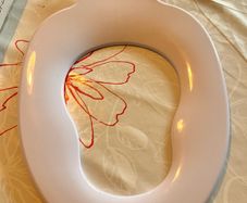 Toilet Trainer Seat  Kiddie Toddler Free