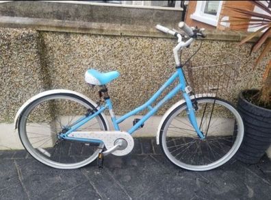 bike needs fixing