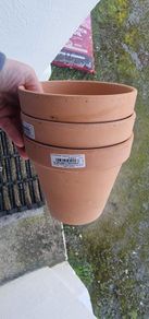 Terracotta pots x3