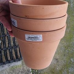 Terracotta pots x3