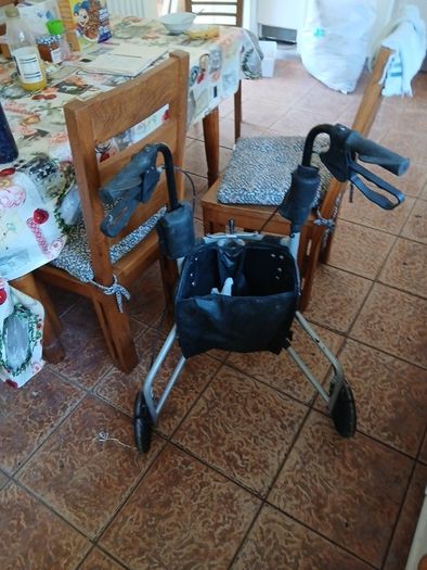 mobility aid
