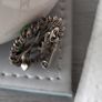 1940s Austrian enamelled brooch pin Image 3