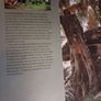 Thomas Pakenham / In Search of Remarkable Trees / 1st edition/ 2007 Image 4