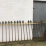 Iron antique railings fencing Image 10