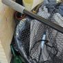pike set Image 3