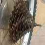 24" inch bike wheel with 7 speed cassette Image 6