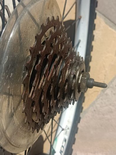 24" inch bike wheel with 7 speed cassette