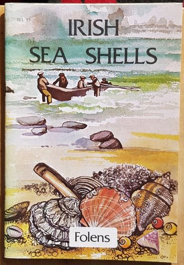 Irish Sea Shells