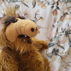 Alf Teddy