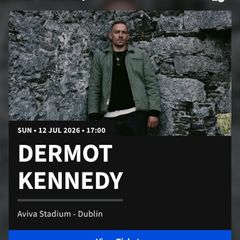 Dermot Kennedy Front Standing (Red Route)