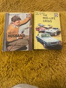 Adult Ladybird Books