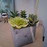 Artificial plant Image 3