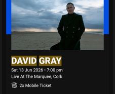 David Gray