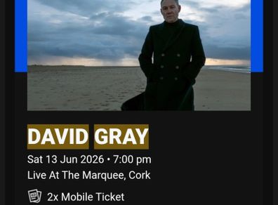 David Gray