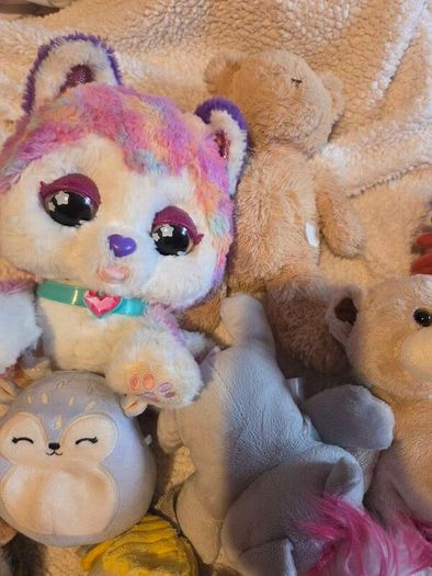 teddies