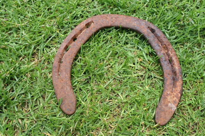 Vintage Horse Shoe