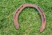 Vintage Horse Shoe