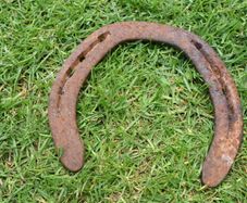 Vintage Horse Shoe